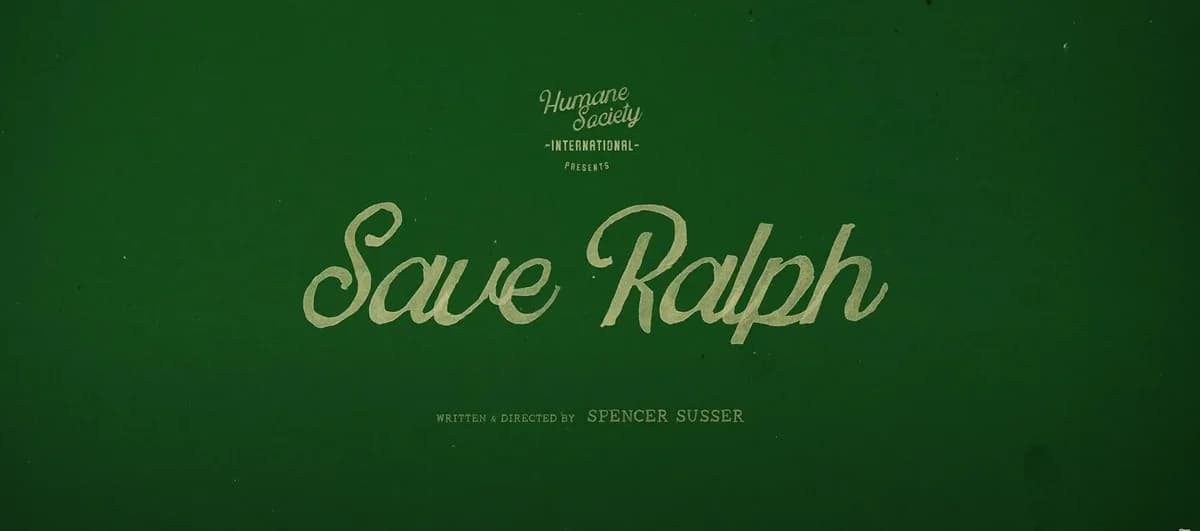 How #SaveRalph reached 56M on TikTok for HSI
