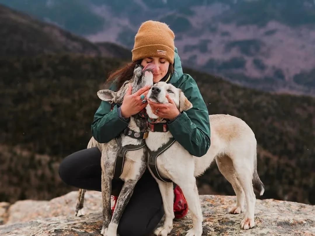 L.L.Bean grows influencer ROI 675% with scaled management